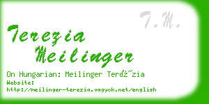 terezia meilinger business card